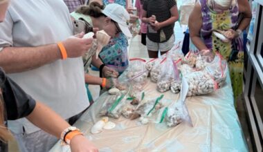 Rec center to host Annual Shell & Swap - SANIBEL-CAPTIVA