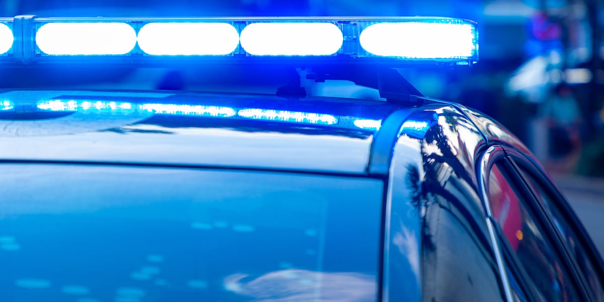 Car bursts into flames after I-75 crash in Charlotte County
