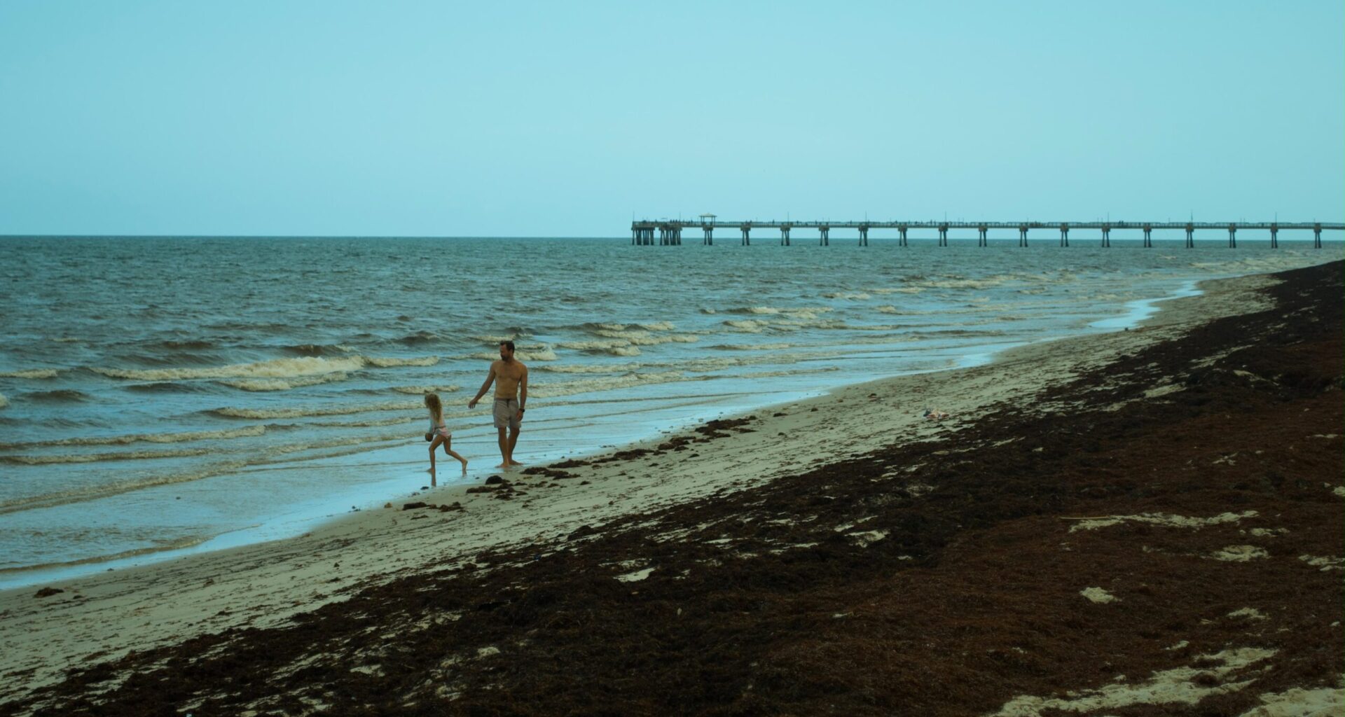 Ocean sargassum useful beyond South Florida beaches