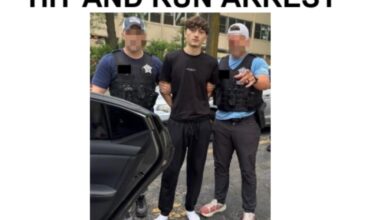 Russian national charged in Hollywood hit-and-run