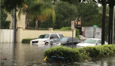 This is a picture of a flooded street along Swann and Audubon.