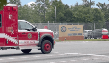Chilling shark attack at Florida Navy base caught on camera – NBC Los Angeles