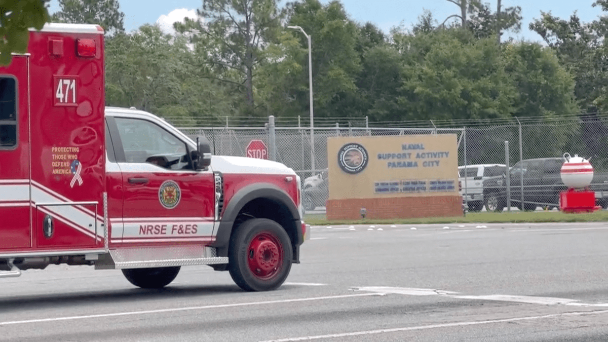Chilling shark attack at Florida Navy base caught on camera – NBC Los Angeles