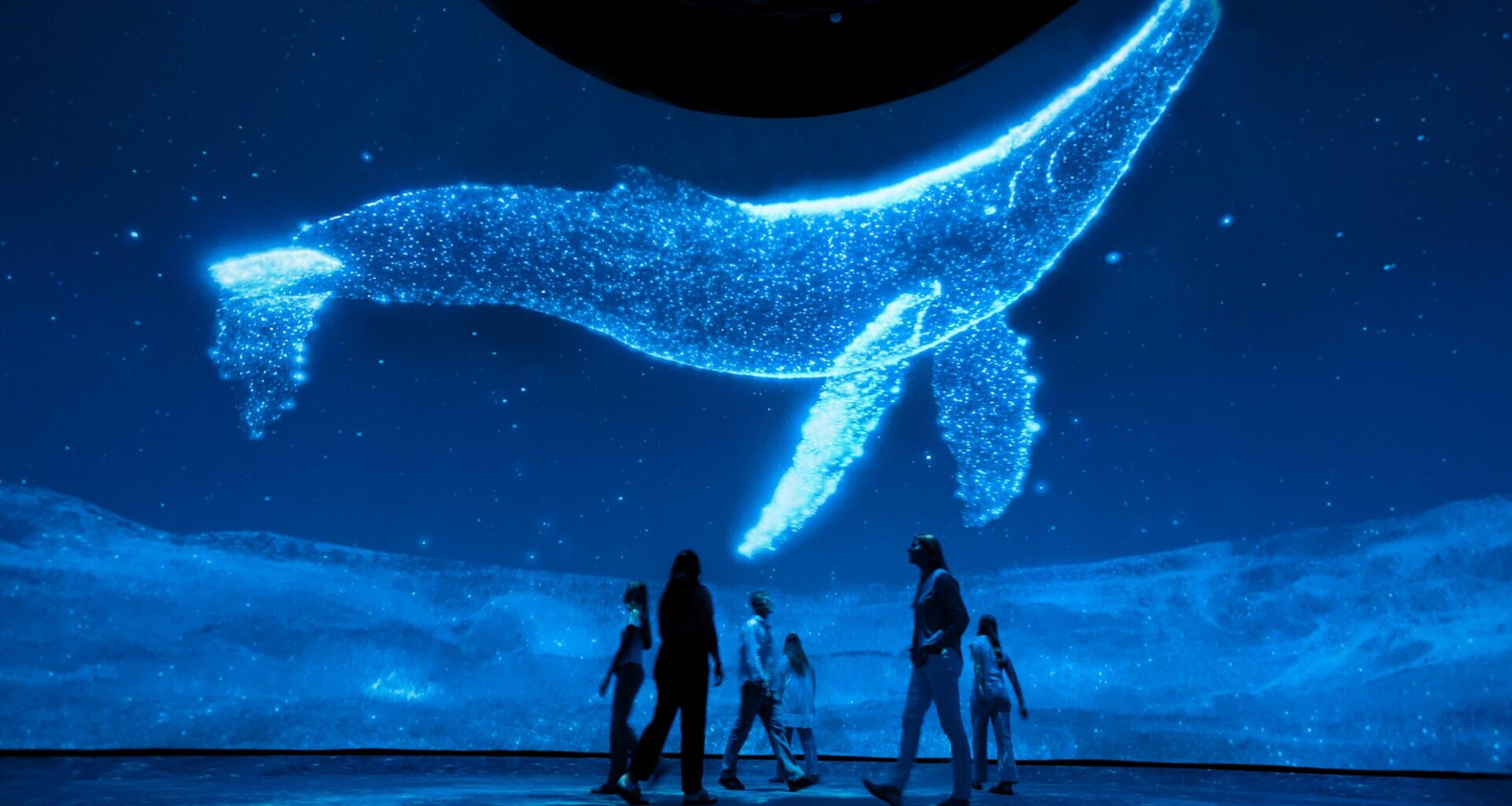 Dalí Dome to debut immersive ‘Surreal Nature’