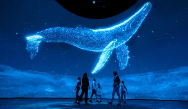 Dalí Dome to debut immersive ‘Surreal Nature’