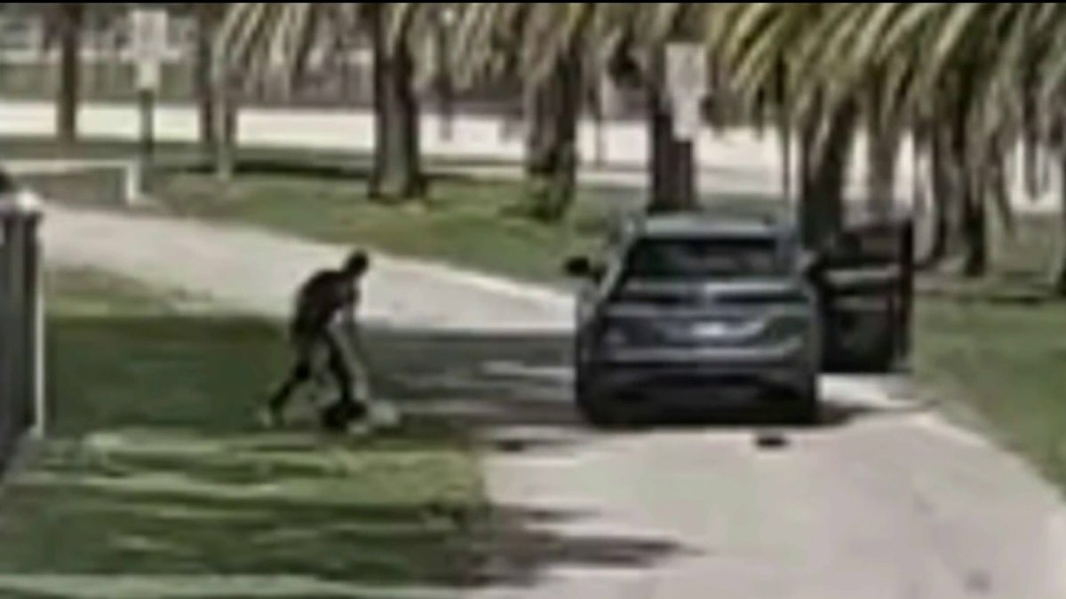 Surveillance video shows woman being assaulted by suspect in Miami Springs – NBC 6 South Florida