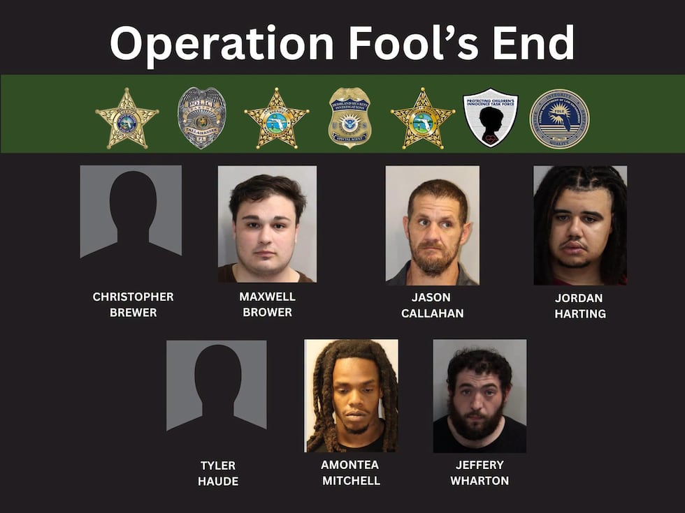 Seven people have been arrested following a multi-agency undercover operation targeting online...