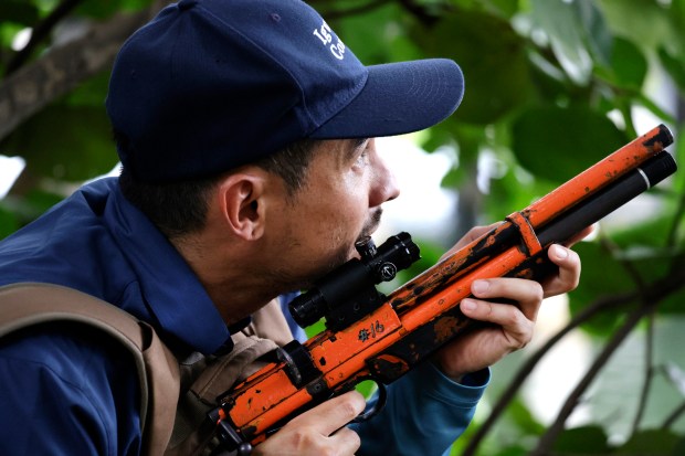 Miami Beach Iguana Control worker Bruno Sano, hunts for iguanas near the Julia Tuttle Causeway in Miami Beach on Friday, June 4, 2026. (Carline Jean/South Florida Sun Sentinel)