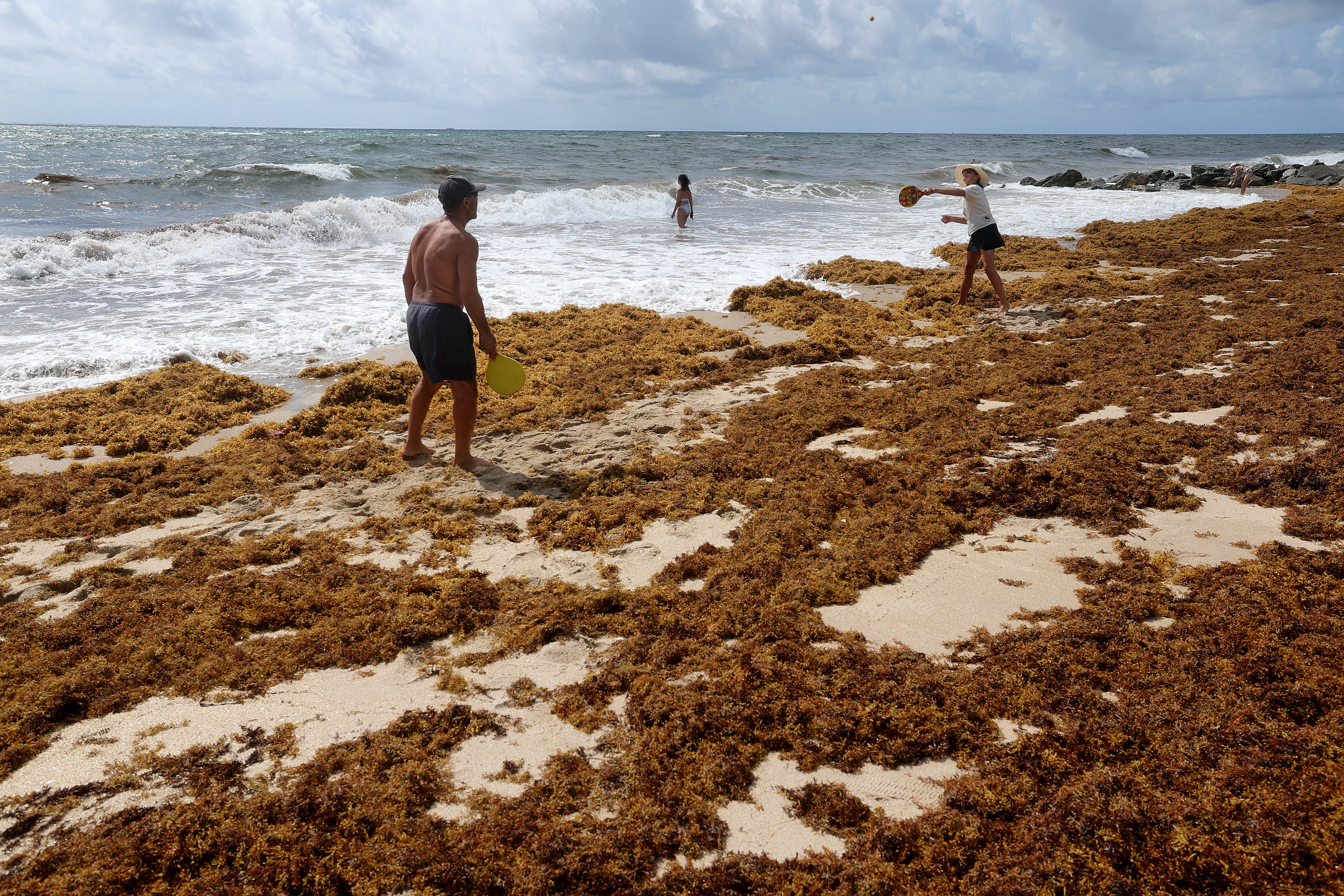 Al and Cherie Rechka play Kadima in the sargassum seaweed...