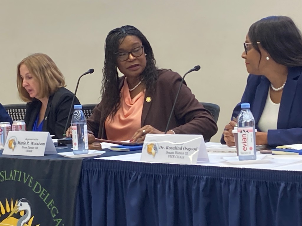 Few major opponents for most South Florida state legislators
