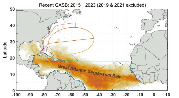 The dark areas represent the Great Atlantic Sargassum Belt, a relatively new phenomenon where sargassum growth has spiked in the tropical Atlantic. (Courtesy University of South Florida College of Marine Science)