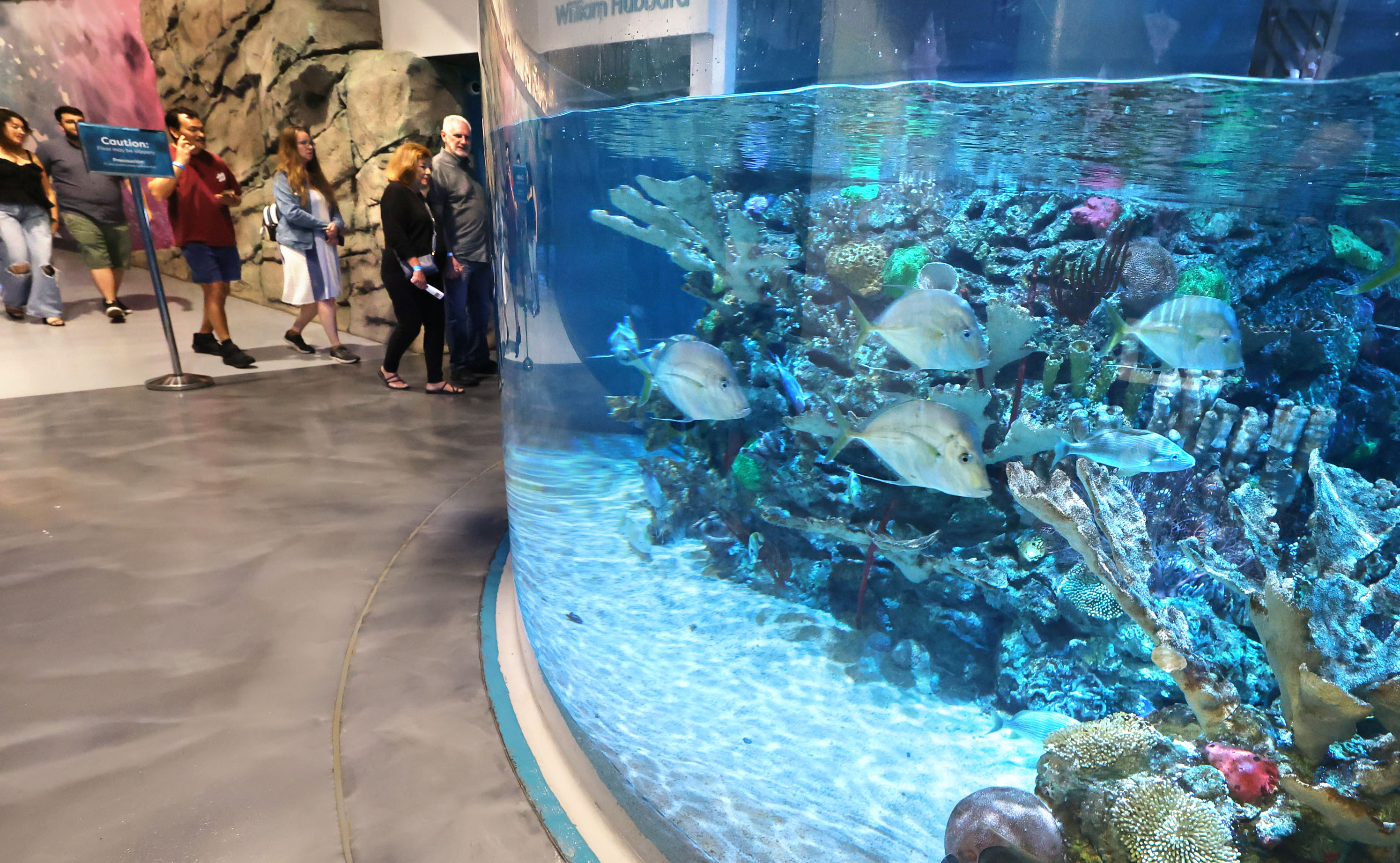 Guests view an aquarium during Orlando Science Centerâs Science Night...