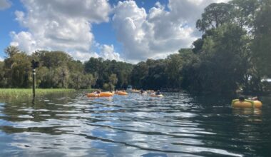 Alligator attacks Rainbow River snorkeler