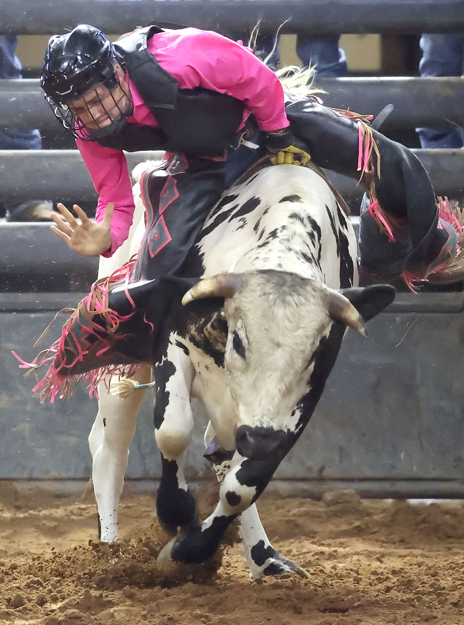 Dallen Baucom rides a bull during the Silver Spurs Rodeo...