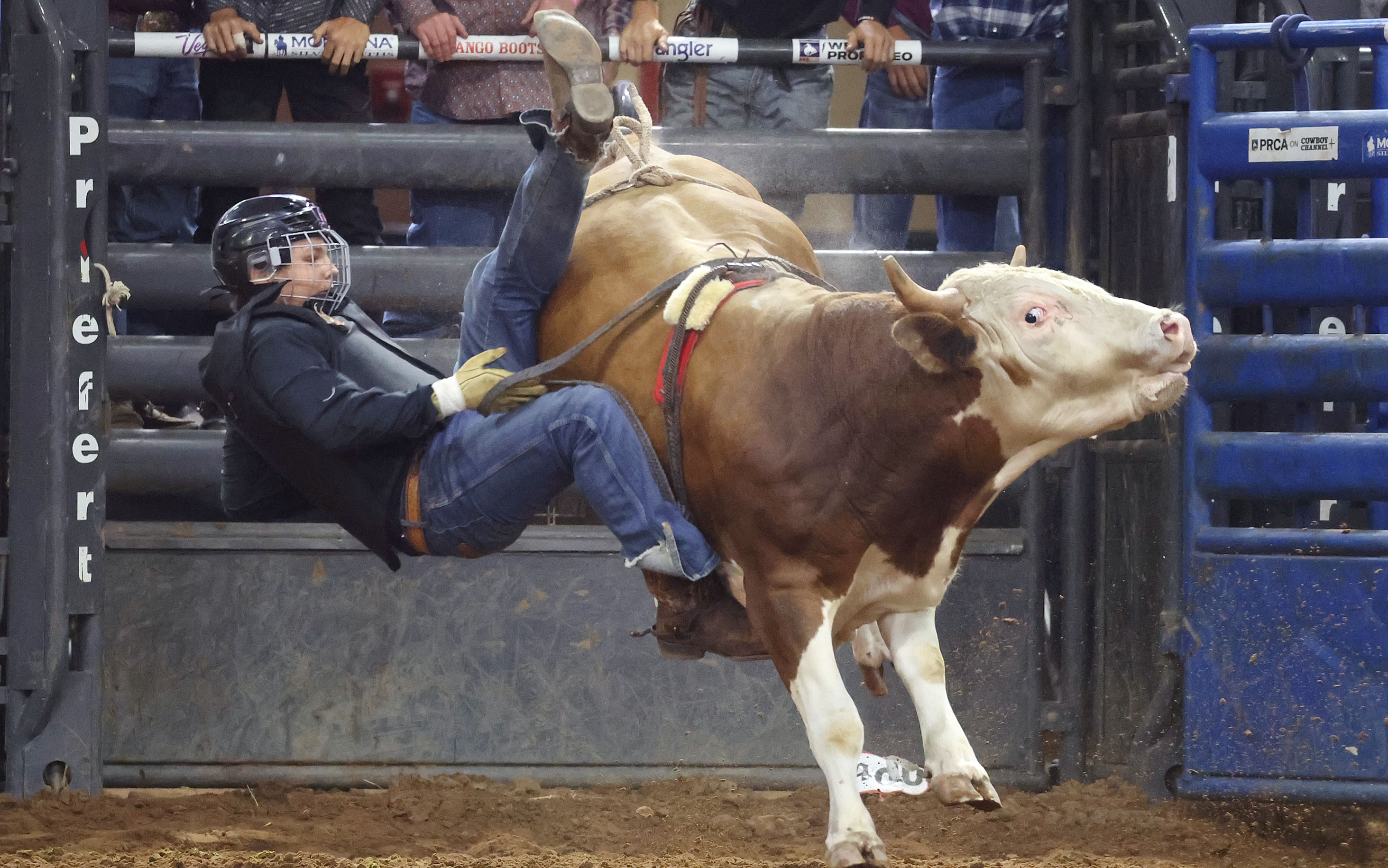 Layne Pifer is thrown from a bull during the Silver...