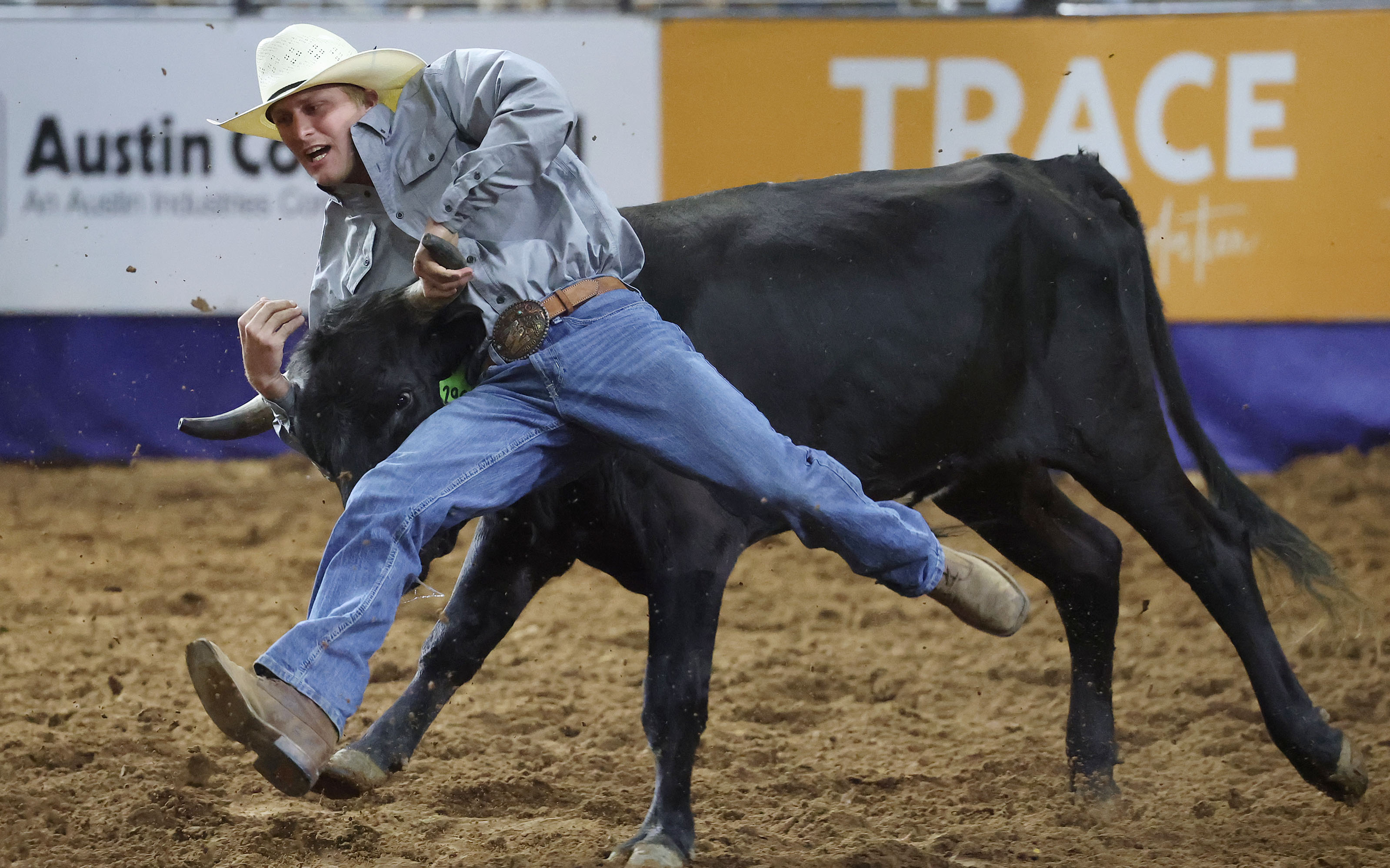 Nick Retter tries to pull down a steer during the...