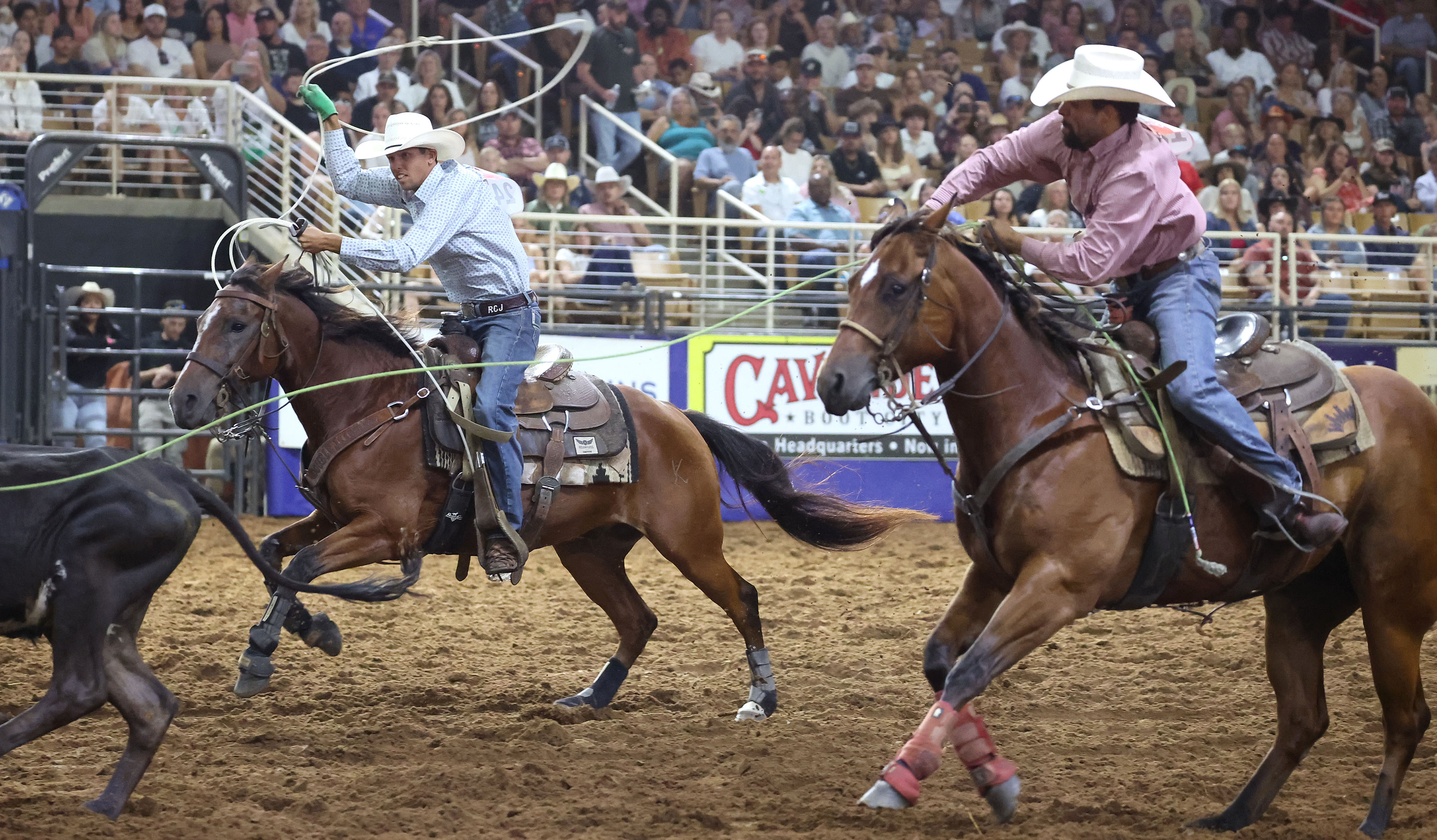 Zmann Zamora and Ryan Canady chase a calf in the...
