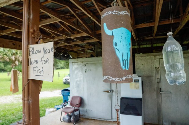 A service sign and bell, rung at the end of cleaning the day's catfish catch, are seen at Sanders Fish House in DeLand on Wednesday, June 24, 2026. (Rich Pope/Orlando Sentinel)