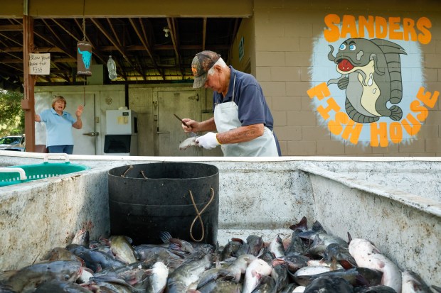 The daily catch comes in at Sanders Fish House, in operation in DeLand since the 1960s, when the family would skin and fillet at their house a couple of miles from here. They built this location in 1998. (Rich Pope/Orlando Sentinel)