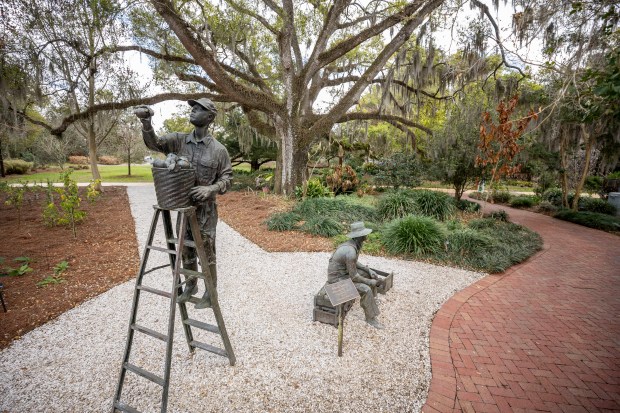 Status of citrus workers pay homage to Orlando's past at Leu Gardens on March 5, 2026. The City of Orlando and Leu Gardens leadership are considering a new master plan that could include a new visitor center, garden upgrades and parking. (Patrick Connolly/Orlando Sentinel)