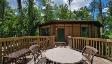 Disney Shares First Look at Newly Redesigned Treehouse Villas at Saratoga Springs