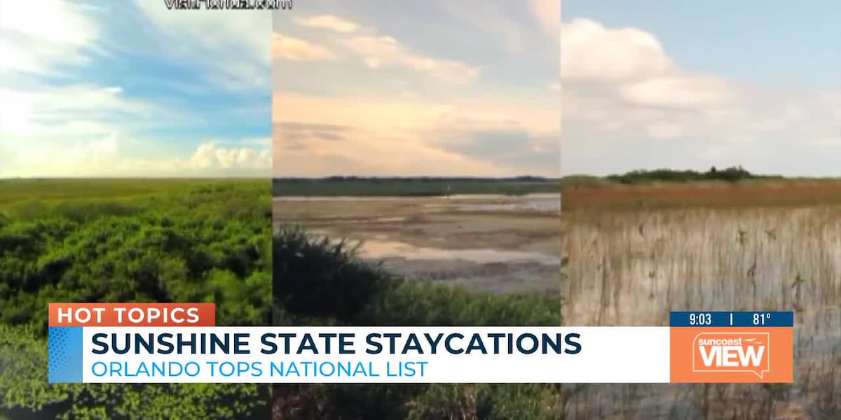 Florida Staycations