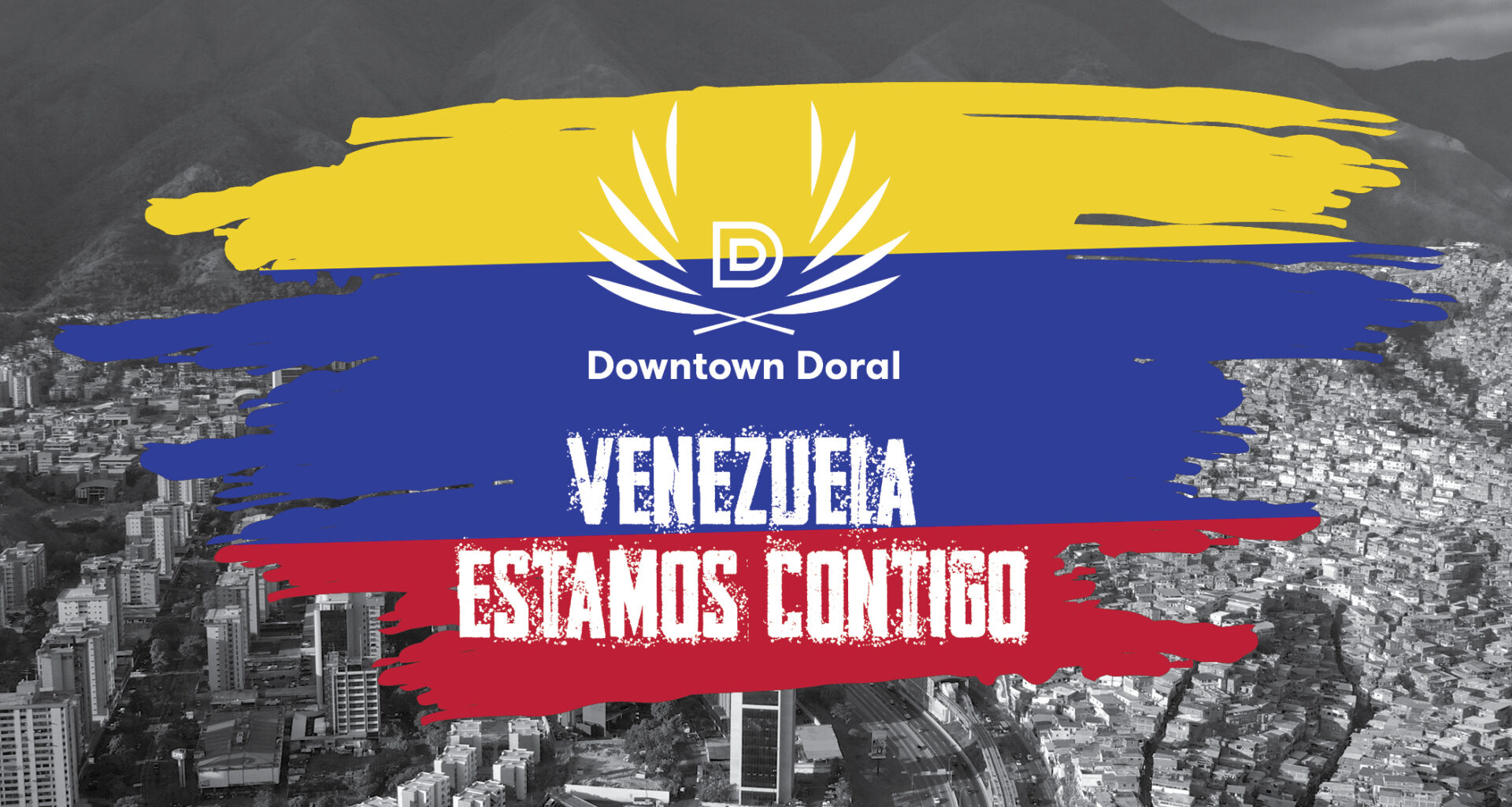 Standing with Venezuela - Downtown Doral