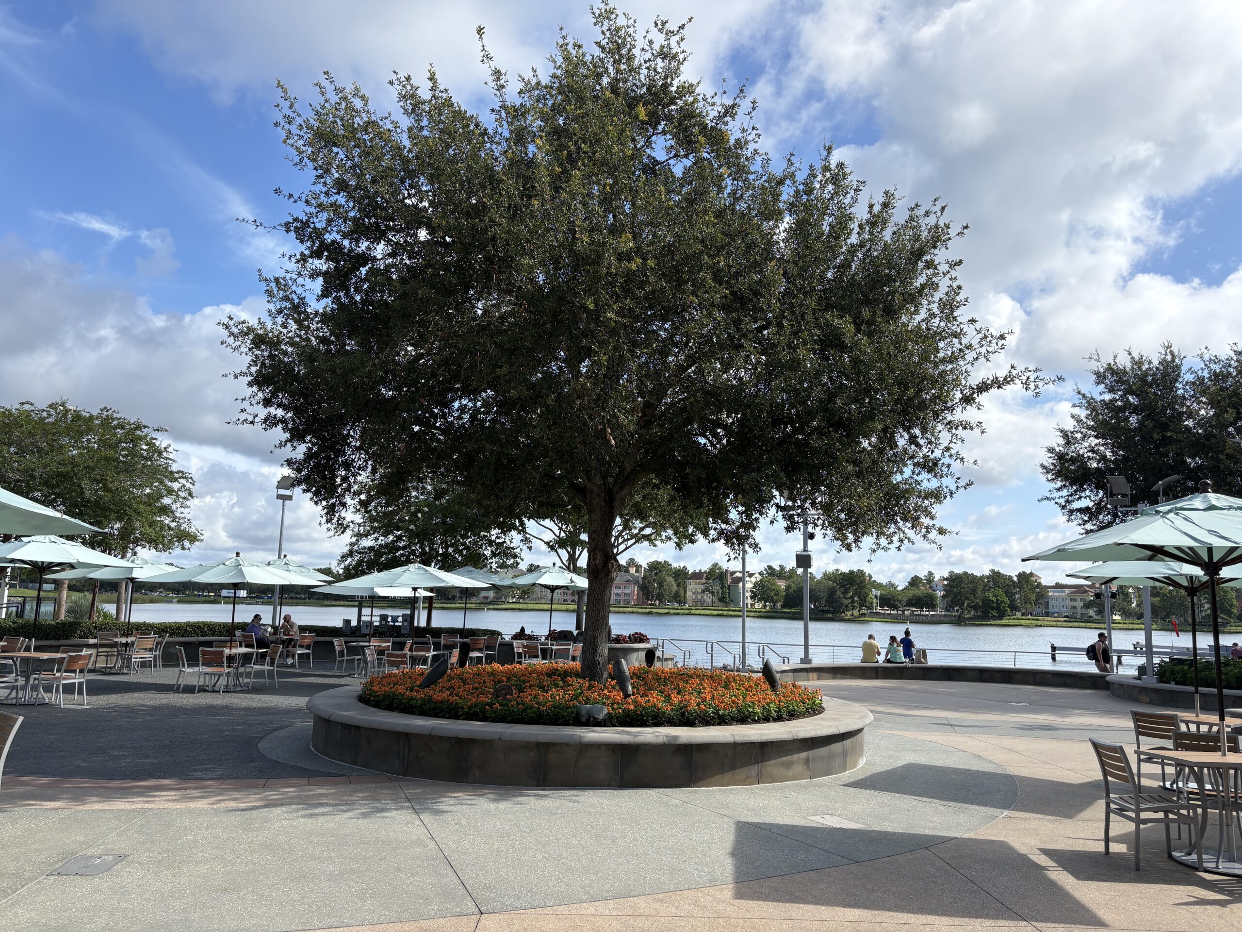 Disney Springs has quickly found a new use for the former Food Truck park, adding some much-needed respite for many nearby counter-service locations.