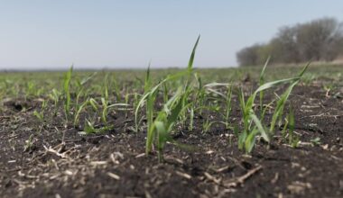 What you need to know about the fertilizer ban in Indian River, Martin and St. Lucie counties