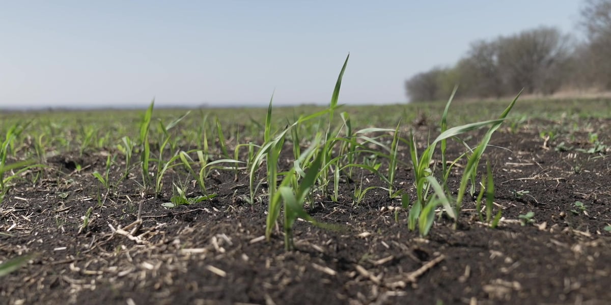What you need to know about the fertilizer ban in Indian River, Martin and St. Lucie counties
