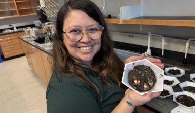 After lab fire, USF researchers rejoice at recovered samples