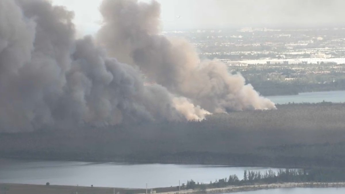 Second brush fire burns in Miami-Dade County – NBC 6 South Florida