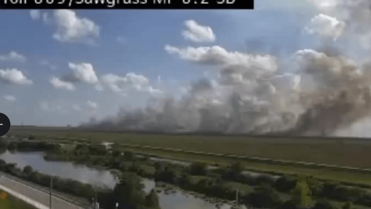 Brush fire seen burning in West Broward – NBC 6 South Florida