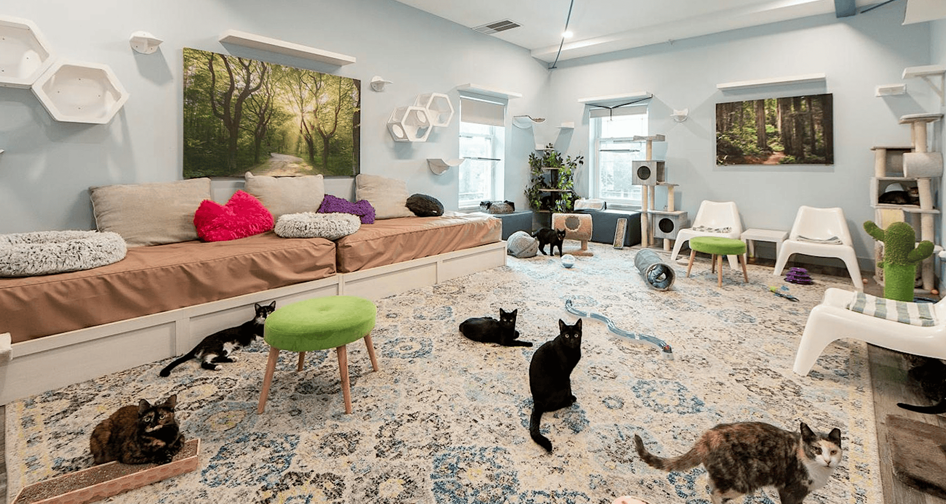 Indoor Activities St Pete: Rainy Day Things To Do St Petersburg FL (Kids & Adults)