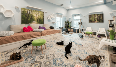Indoor Activities St Pete: Rainy Day Things To Do St Petersburg FL (Kids & Adults)