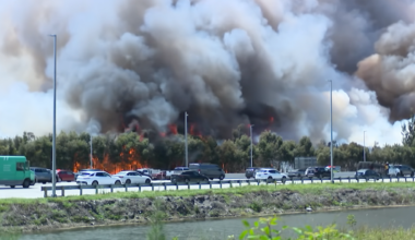 Crews continue to battle brush fires throughout Miami-Dade – NBC 6 South Florida