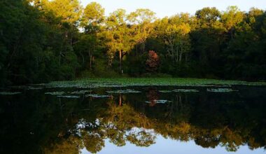 Take a hike! You have over 400+ trails to choose from in our region