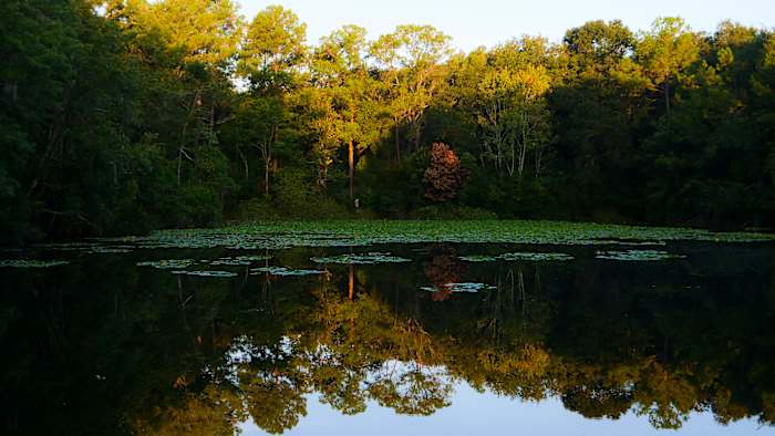 Take a hike! You have over 400+ trails to choose from in our region