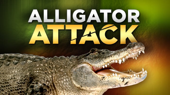 3 alligator attacks reported in Central Florida in a week