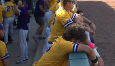 West Chester senior relief pitcher Patrick Taney and his fellow Golden Rams react after losing in the Division II championship game.