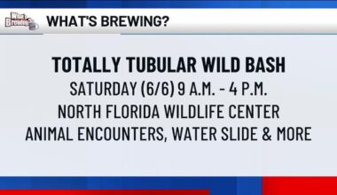 What’s Brewing - Totally Tubular Wild Bash