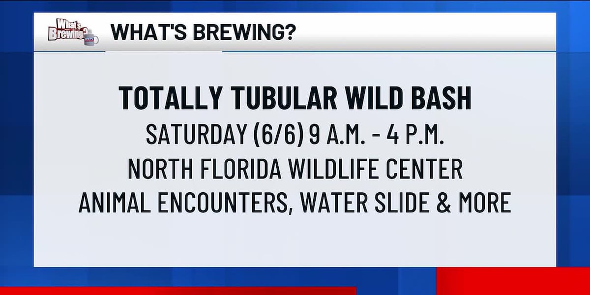 What’s Brewing - Totally Tubular Wild Bash
