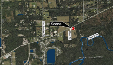 Woman killed by alligator in Seminole County, says FWC