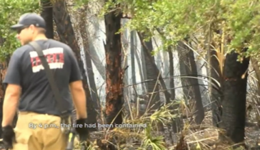 Brush fire prompts evacuations of homes in Venice neighborhood