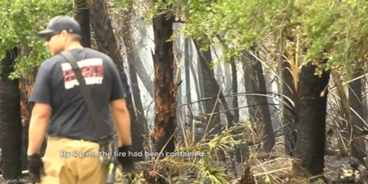 Brush fire prompts evacuations of homes in Venice neighborhood