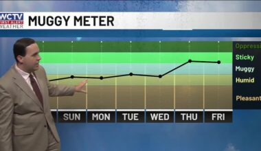 Temperatures climbing for June’s first weekend 🌡️