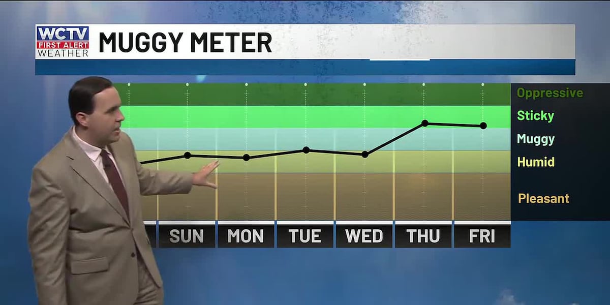 Temperatures climbing for June’s first weekend 🌡️