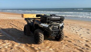 Stolen ATV leaves Flagler County turtle patrol without wheels to protect nesting sites