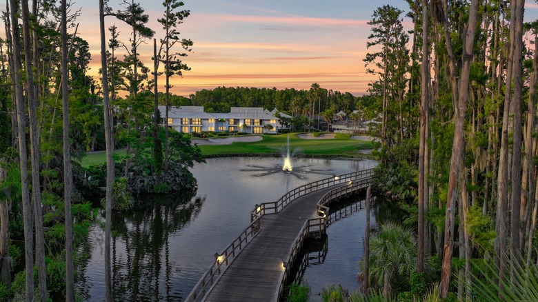Bridge over fountain pond at Saddlebrook Resort