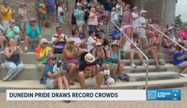 Dunedin Pride event draws record crowds